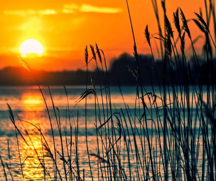 Jezioro Charzykowskie